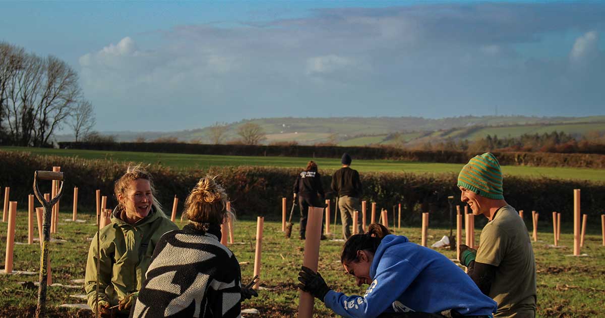 Group of people planting trees at volunteer day.
