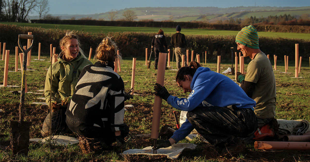 Group of people planting trees at a volunteer day.