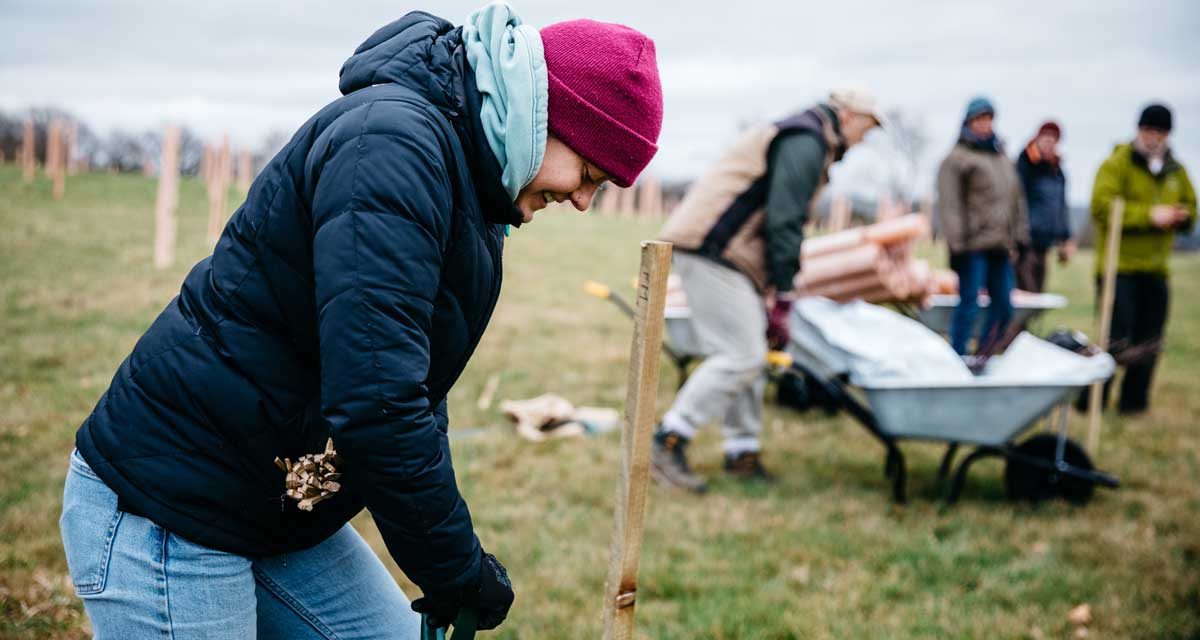 Person planting a tree at a volunteer day.