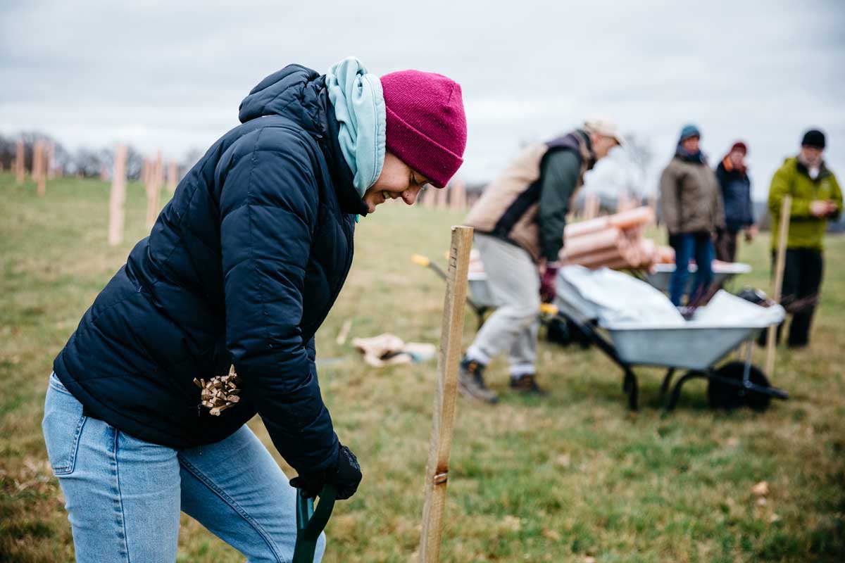 Person planting a tree at a volunteer day.