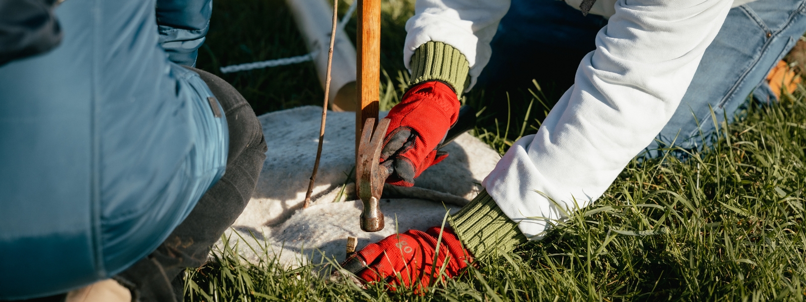 Pucklechurch wood launch - two people planting a tree using a mallet close-up